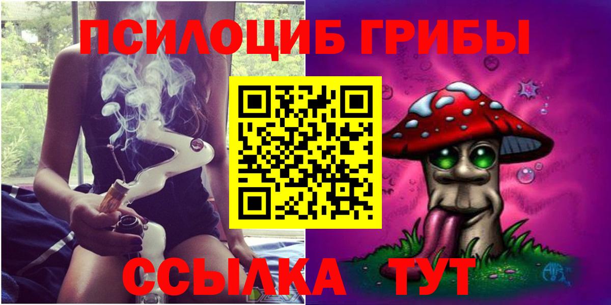 Галлюциногенные грибы Psilocybe  Вход с VPN  Кисловодск  Псилоцибиновые грибы прущие грибы 