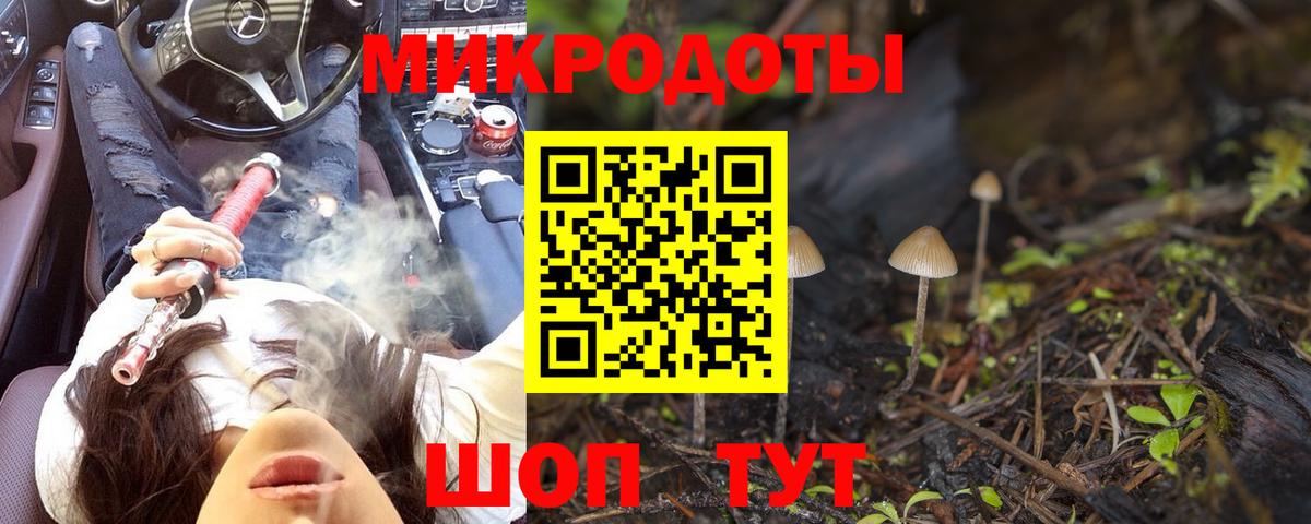 Псилоцибиновые грибы Magic Shrooms Кисловодск